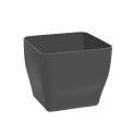 Square pot